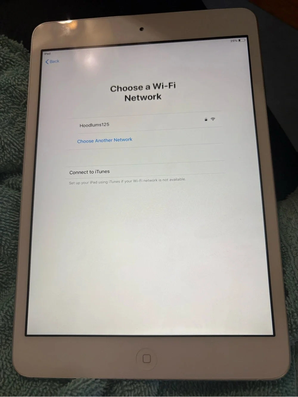 iPad Mini 2 Apple 16GB - Front Home Button
